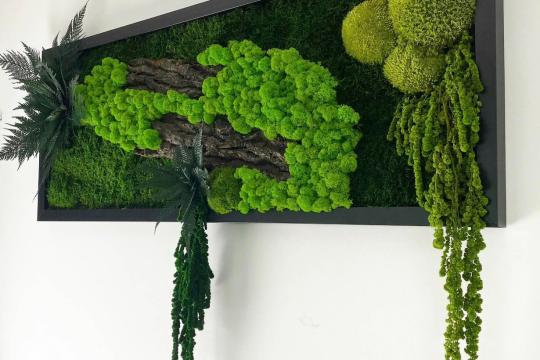 Tablou cu licheni stabilizati 70×30 cm