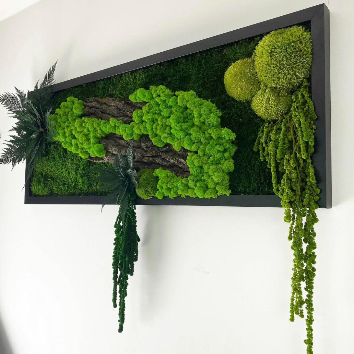 Tablou cu licheni stabilizati 70×30 cm